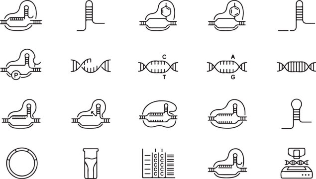 Set of riboswitch and rna gene regulation biology black vector icons isolated on white background