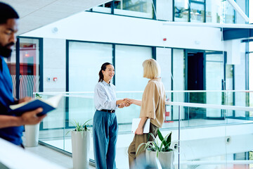 Two businesswomen completing a professional deal with a handshake in a modern office, representing partnership and success © we.bond.creations