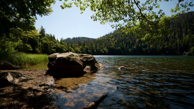 4K (native 8K) footage of Feldsee at the foot of Feldberg, with a large rock and vegetation in the foreground.