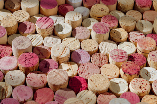 Wine cork background from red and white wine, natural texture used bottle stoppers top view, sunlight shadows. Closeup wooden corks. Natural textured pattern of bright colorful wine corks.