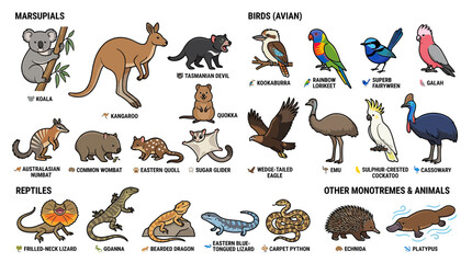 Obraz premium Australian Animals Collection Isolated