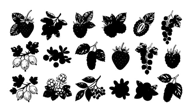 Colorful Fresh Berry Fruit Collection Isolated Vector Illustration Set