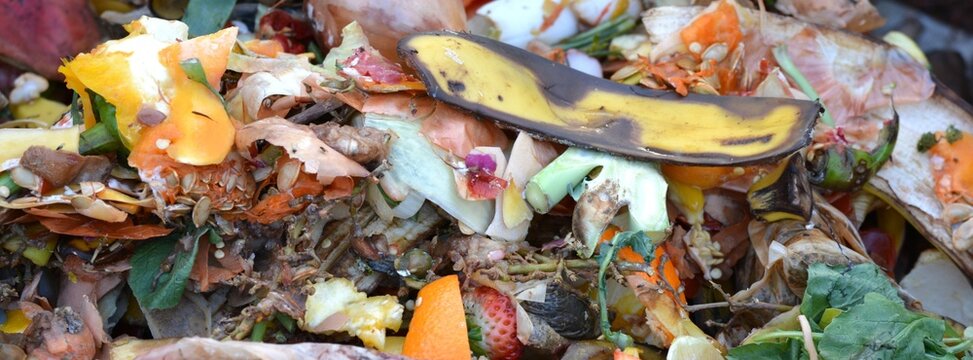 Full frame background texture of organic food waste with banana peels and vegetable scraps in a compost heap