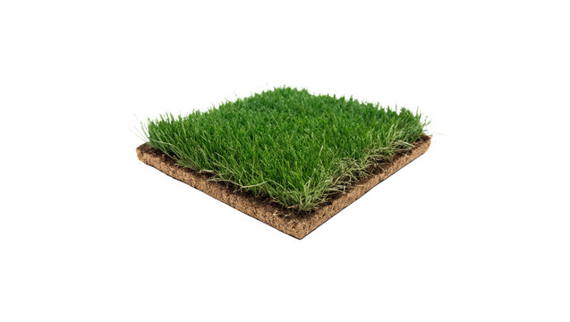 Square square patch of fresh green grass lawn isolated on transparent background