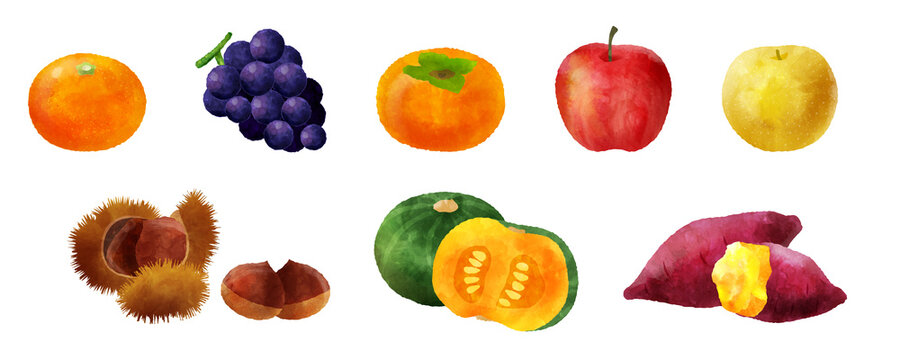 手描き風秋の味覚のイラストセット