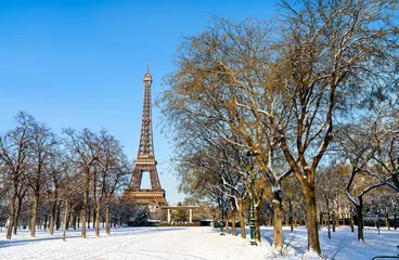 The Eiffel Tower stands behind snowy trees in the Champ de Mars park during a sunny winter day in Paris, France. © Leonid Andronov
