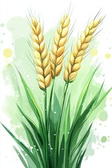 Obraz premium A beautiful delicate illustration of three ripe wheat stalks on a seafoam green watercolor texture.