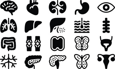 Obraz premium Human Anatomy and Medical Internal Organs Solid Glyph Icon Set Featuring Brain Heart Kidneys Stomach Eye Lungs Liver Intestines Joints Bladder and Reproductive System