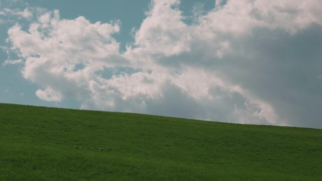 Gentle Sloping Grassland Under a Blue Sky with Clouds