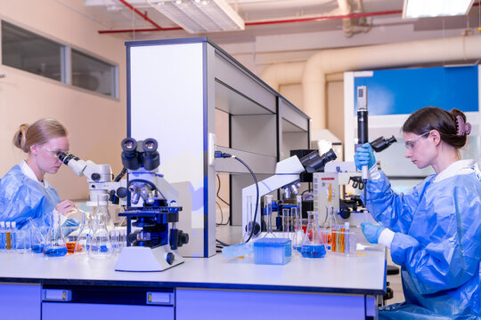 Two female scientists conducting a laboratory experiment while examining samples