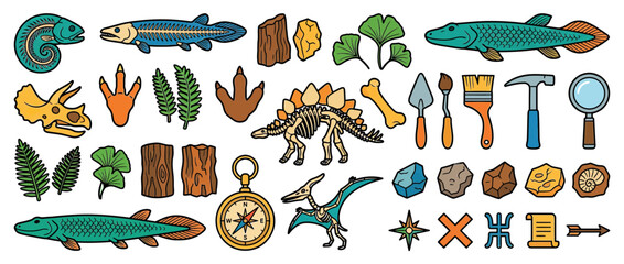 Paleontology Collection: Dinosaurs, Fossils, and Tools © Kari