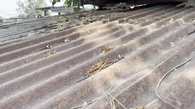 Aged Corrugated Zinc Roof Surface Covered in Rust and Dry Leaves