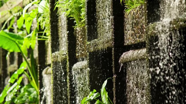 Spring water spills through the openings of an old moss covered stone weir while ferns and bright leaves catch the sunlight in the Cupatitzio park, Uruapan, Michoacan. Close up shot