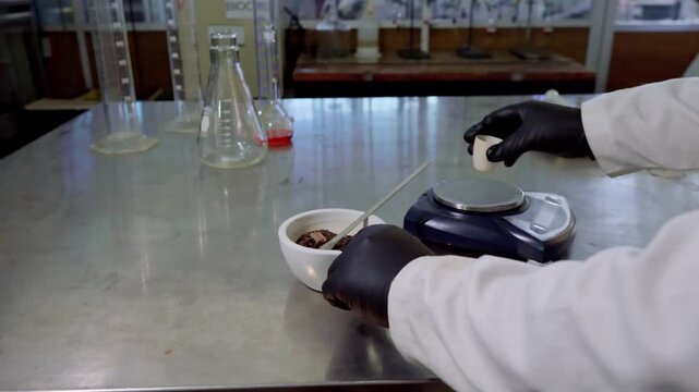 Hands of a scientist in gloves carefully weighing a soil sample in a porcelain dish on a digital scale inside a laboratory setting. This activity is part of an agronomical analysis.