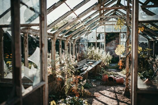 Abandoned greenhouse with light through broken panes