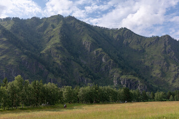Scenic green mountain ridge with rocky cliffs above a wide meadow and tree line under a cloudy sky in Altai, Russia, ideal for travel, nature, and outdoors themes © TravelFlow