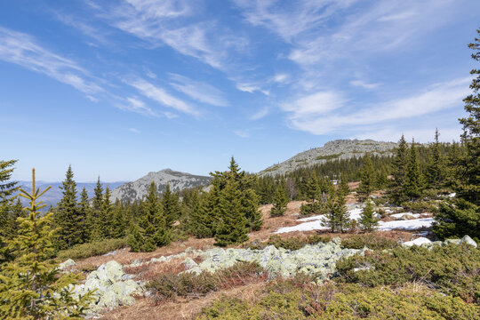 Scenic spring view of Iremel Nature Park with evergreen taiga, rocky mountain ridge, patches of melting snow and wide blue sky, ideal for travel and nature themes