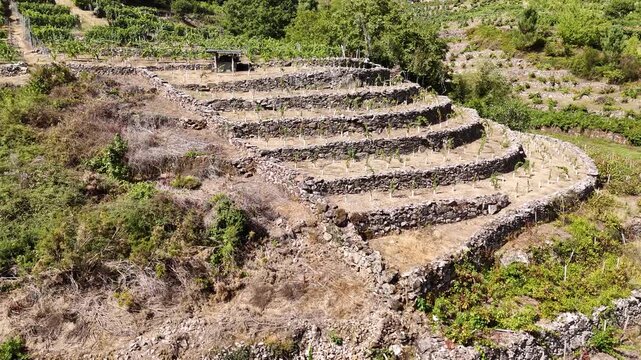 Terraced vineyard landscape in Ribeira Sacra Spain