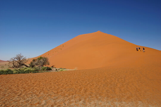 Red Dunes of Sossusvlei in Namibia