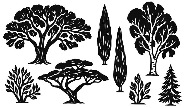 Tree linocut icon set. Broad oak canopy, slender cypresses, birch, spreading acacia, evergreen conifer and leafy shrubs. Hand drawn black vector illustration in vintage woodcut print style.