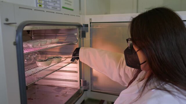 A female scientist wearing glasses and a face mask uses tweezers to carefully remove a porcelain container holding soil samples from a hot lab autoclave, part of agricultural research.