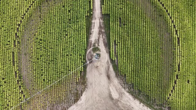 Aerial view of a circular agricultural field with a central irrigation system and dirt path in Talayuela, Extremadura, Spain.