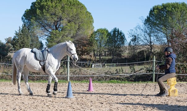 riding girl and horse