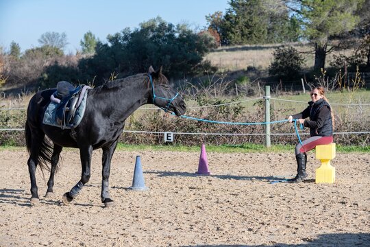 riding girl and horse