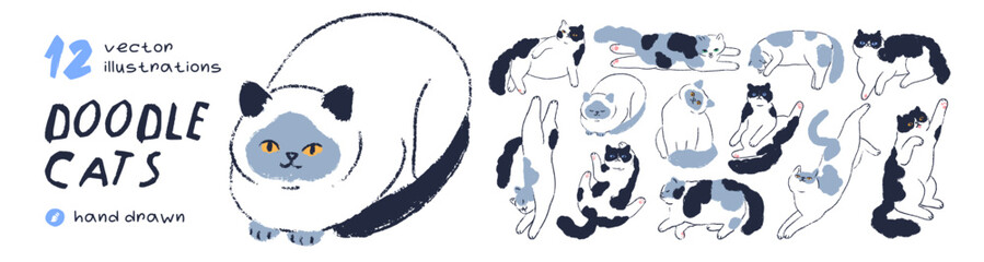 Naklejka na ściany i meble Cute doodle cats, kittens, vector animals set. Line art drawings of funny pets, adorable cat characters sitting, stretching, lying, sleeping, relaxing. Happy playful kitties. Flat vector illustrations