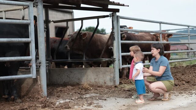 Mother gives two little children tour of cow farm. Its the children first time seeing cows 