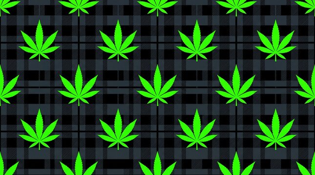 Neon green cannabis leaf seamless pattern on dark tartan plaid background