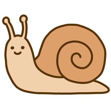 Cute Garden Snail Vector Illustration