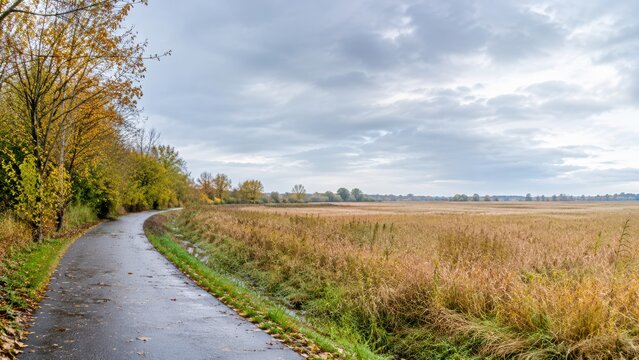 Wet country path after autumn rain under overcast sky
