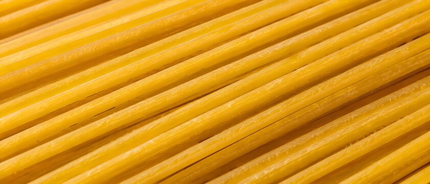 Bucatini Pasta Ends Closeup