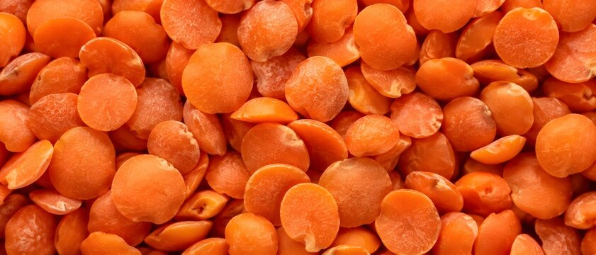 Red Lentil Collection