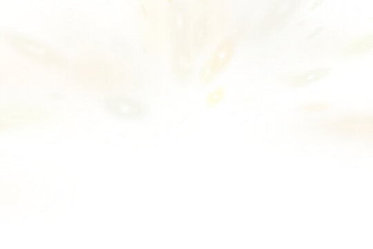 Blurred orange and yellow bokeh circles border, soft glowing lights PNG