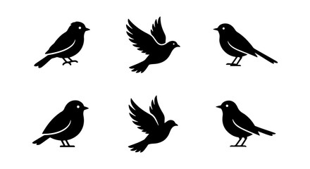 Fototapeta premium Six silhouette birds, some flying and some perched, displayed on a plain white background.