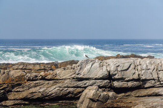 Rocky ocean shore in South Africa