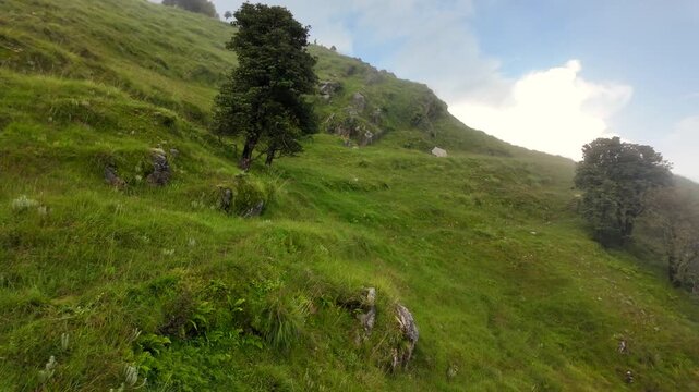 High Altitude Green Hills of Garhwal Himalayas, Uttarakhand, India.