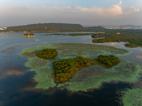Aerial view of Fateh Sagar Lake featuring lush green islands and calm waters covered in lotus pads under a soft golden hour sky in Udaipur, Rajasthan, India.