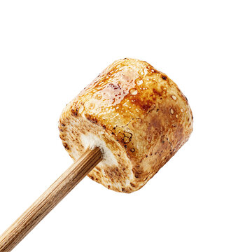 Roasted Golden Marshmallow on Wooden Stick Isolated on Dark Background