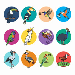Fototapeta premium Exotic tropical bird species flat circle icon collection.