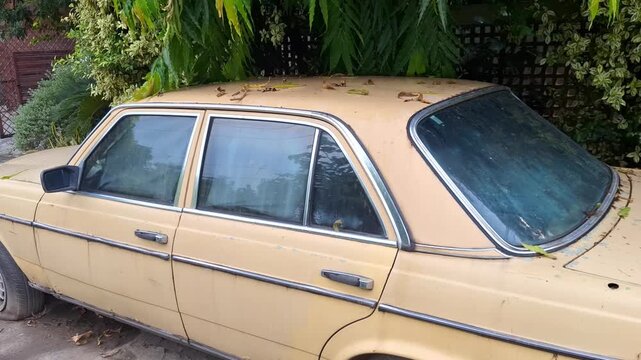 Abandoned vintage yellow car parked under green trees covered in autumn leaves in a backyard garden