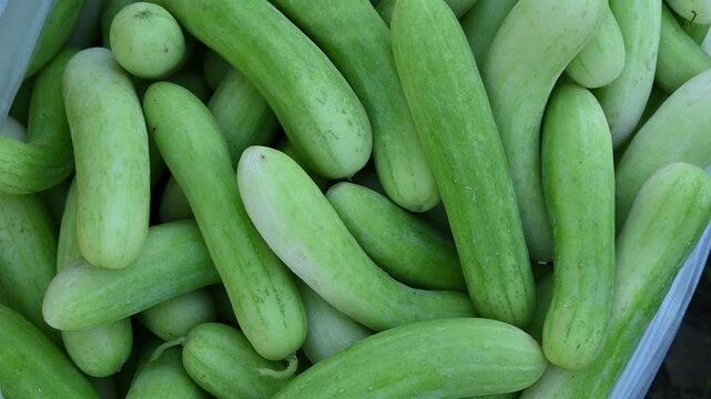 Cucumber is a nutritious fruit with a high water content. Green cucumbers on shelf in market.Organic ingredient thai food
