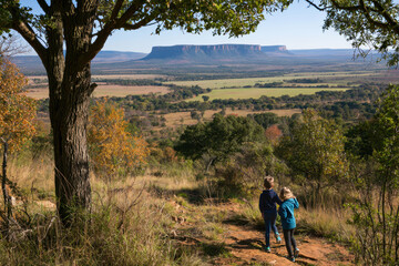Obraz premium Two children walking beneath a large tree along a grassy hillside overlooking cultivated fields, wooded valleys, and a distinctive flat topped plateau landscape