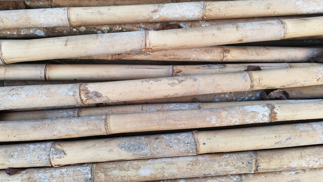 Natural Bamboo Culms Stacked Horizontally with Rustic Texture. Close-up view of natural bamboo culms stacked horizontally, showing bamboo nodes, segmented stems, weathered surfaces, and an earthy