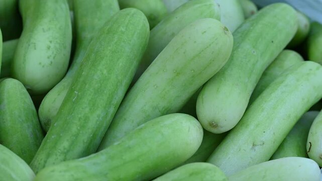 Cucumber is a nutritious fruit with a high water content. Green cucumbers on shelf in market.Organic ingredient thai food