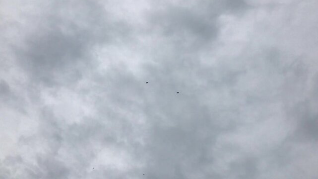 Skydivers descend through a soft gray cloud filled sky during an outdoor adventure. Tiny figures appear against the cloudy atmosphere during their descent