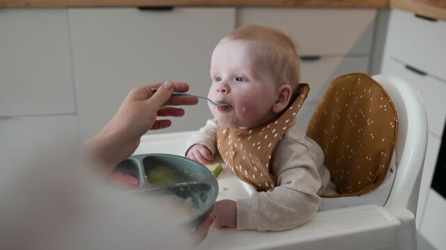 A close-up shot of a sweet caucasian infant wearing a brown bib and sitting in a high chair during mealtime. Parent's hand holding a spoon to feed the cute toddler with healthy porridge or solid food