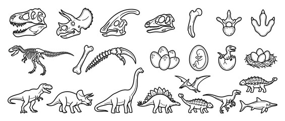 Dinosaur Collection: Skeletons, Skulls, Eggs, and Fossils © maskulon